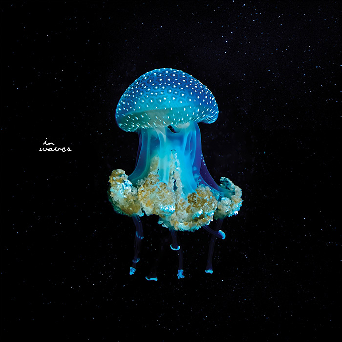 Zone+ - A Balloon in the Wind [2022]