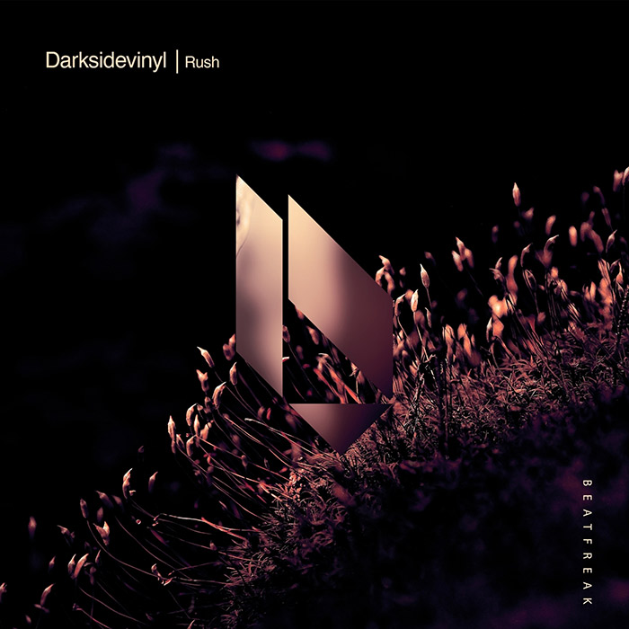 Darksidevinyl - Rush [2026]