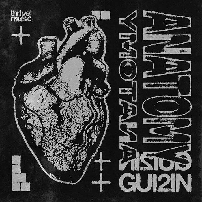 GUI2IN - Anatomy [2026]