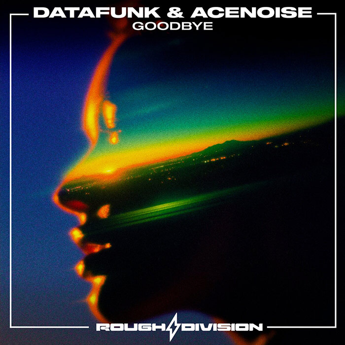 DataFunk & AceNoise - Goodbye [2026]