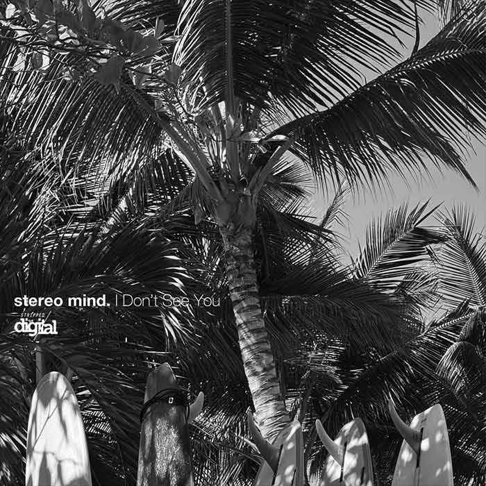 stereo mind - I Don't See You [2026]