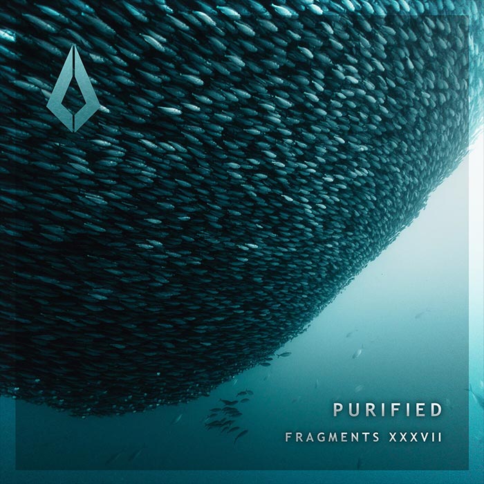 Purified Fragments XXXVII [2026]