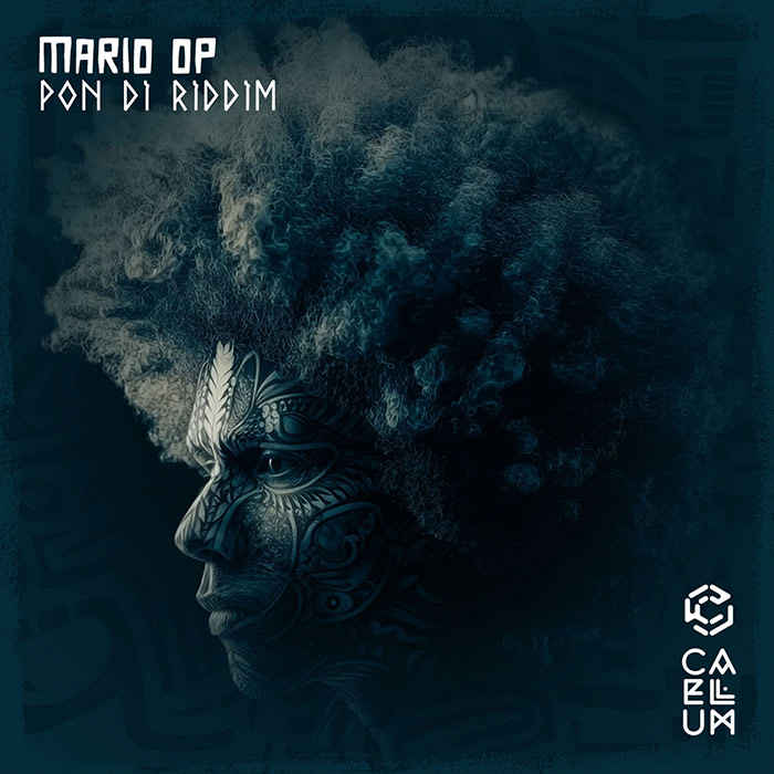 Mario OP - Pon Di Riddim [2026]