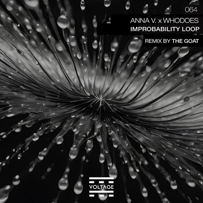 Anna V. x Whodoes - Improbability Loop [2026]