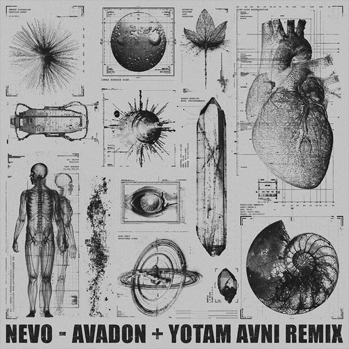 Nevo - Avadon [2026]