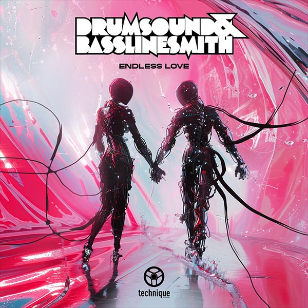 Drumsound & Bassline Smith - Endless Love [2024]