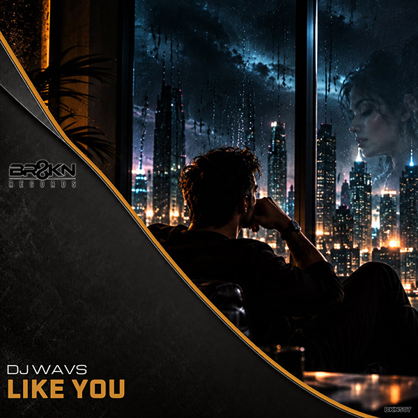 DJ WAVS - Like You