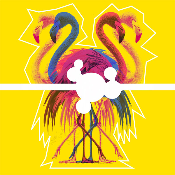 derderwandert - Flamingos y Flamenco